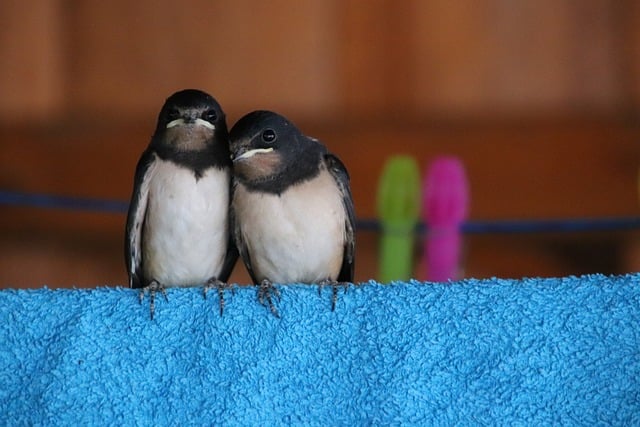 Carport-designs für selbstbauer: Von klassisch bis modern